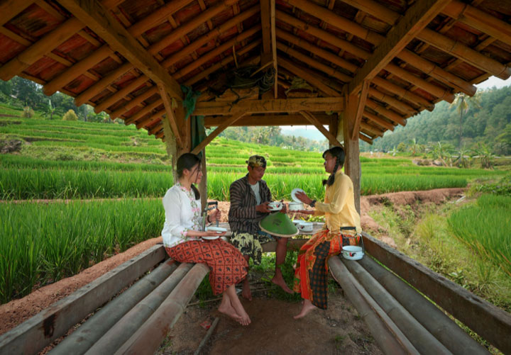 picnic2